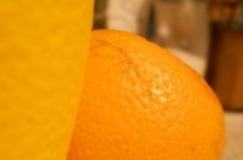 Article : Késako – Jeu des citrons – Limoune – ليمون